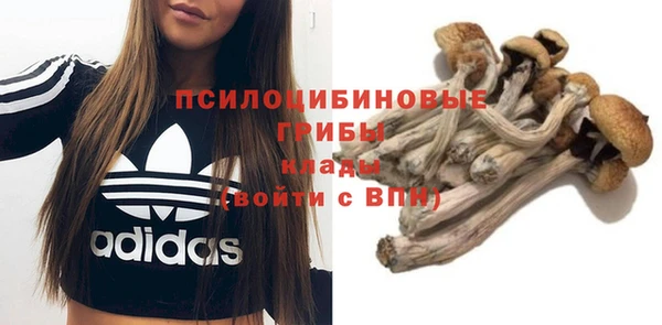 гашиш Кулебаки