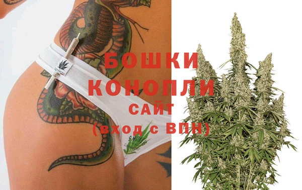 стафф Лагань