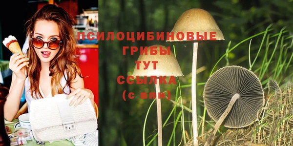 марки lsd Лабытнанги