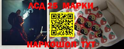 гашик Аргун