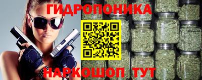 гашик Аргун