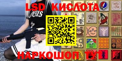 гашик Аргун