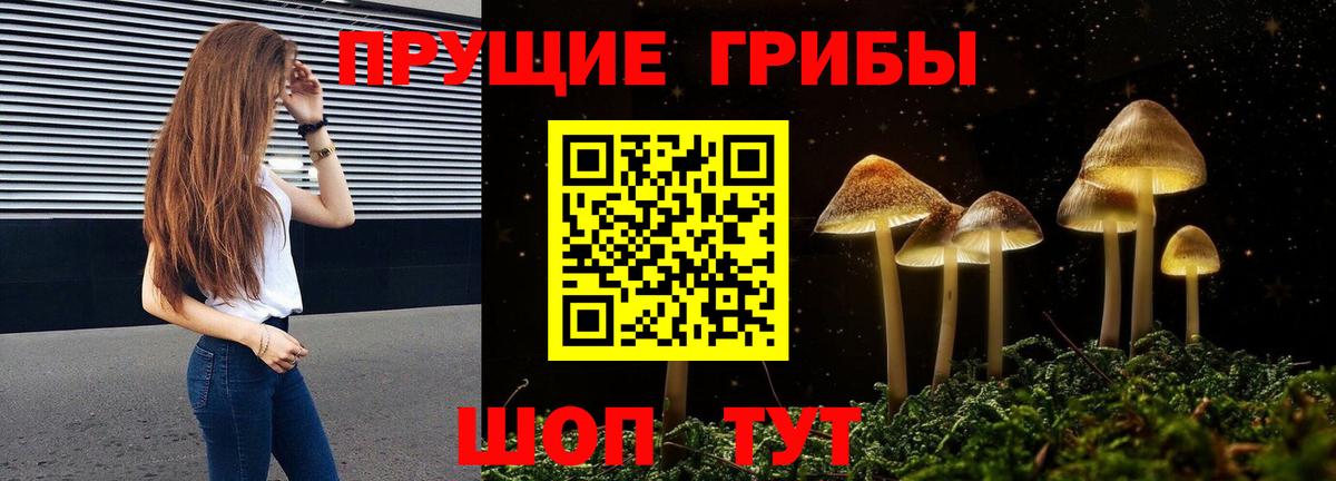 Галлюциногенные грибы Psilocybine cubensis  Вход с VPN  Чебоксары  Псилоцибиновые грибы MAGIC MUSHROOMS 