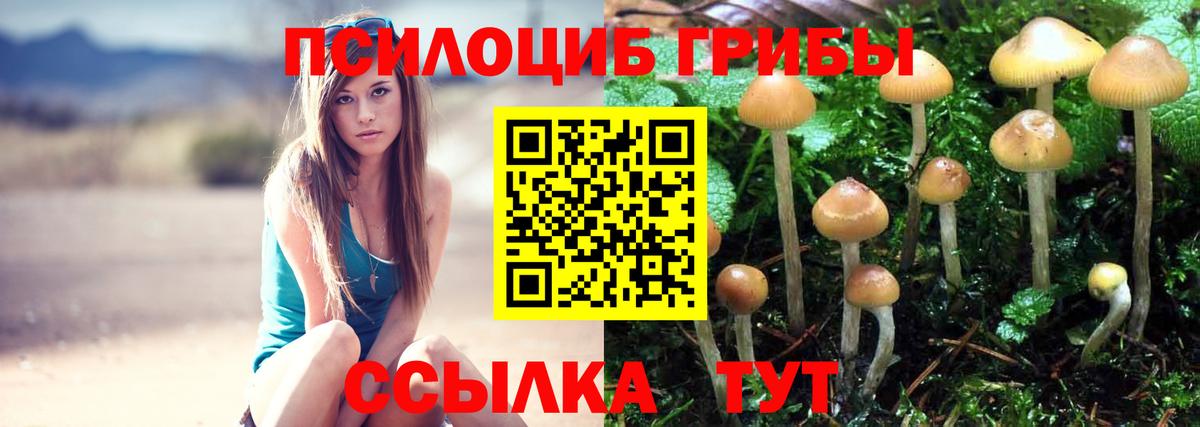 Галлюциногенные грибы мухоморы Чебоксары
