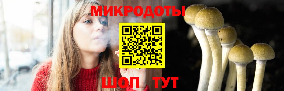 ГАШ Чебоксары